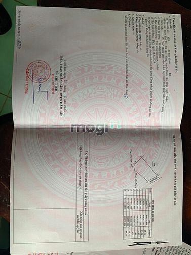 Hình ảnh Đất 1 sẹc quốc lộ 55. Khu sinh thái cô kiều giá 3 tỷ.