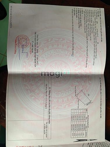 Hình ảnh Đất 1 sẹc quốc lộ 55. Khu sinh thái cô kiều giá 3 tỷ.