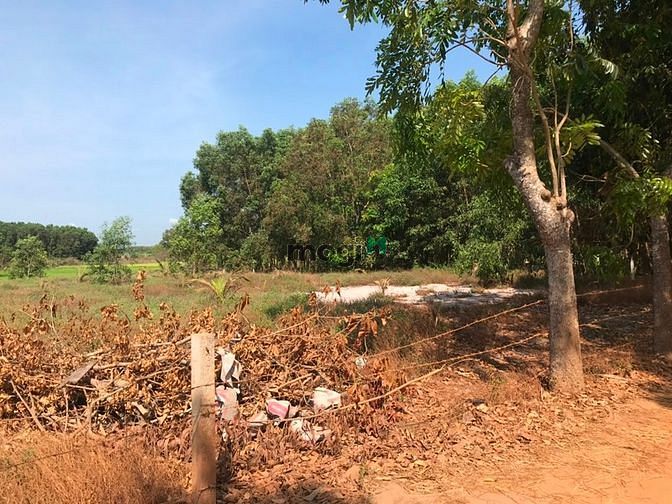 Hình ảnh Đất 1 sẹc quốc lộ 55. Khu sinh thái cô kiều giá 3 tỷ.