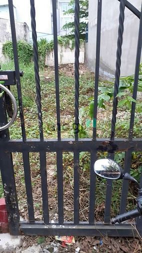 Hình ảnh Bán nhanh lô đất HXH ĐƯỜNG SỐ 1, P13 , Gò Vấp, DT 39M2