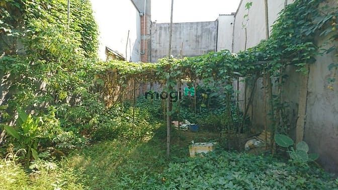Hình ảnh (Bình Chánh) 2.8tỷ C/c BÁN GẤP đất Ấp 5,Phong Phú,Bình Chánh,TP.HCM