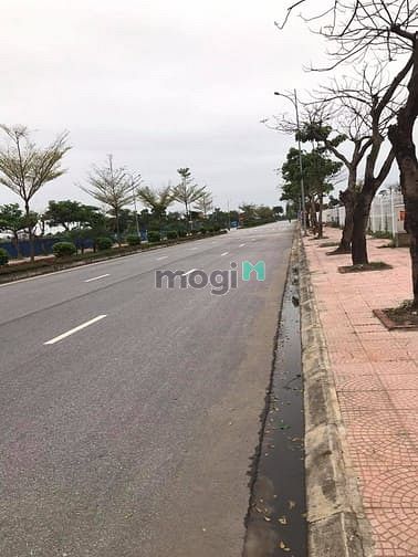 Hình ảnh Dự Án Đất Nền Từ Sơn ,Pháp Lý Hoàn Thiện ,Đã Có Sổ Đỏ