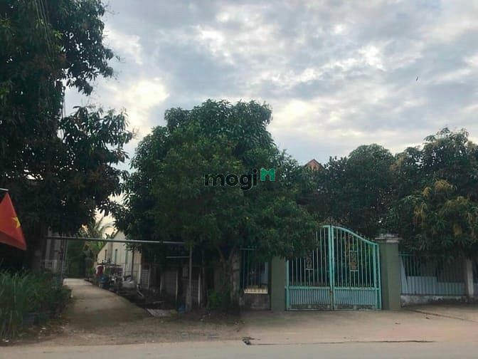 Hình ảnh đất bán giá tốt - khu vực bình nhâm