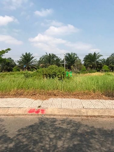 Hình ảnh bán 101m2 đất Tân Thông Hội-Củ Chi 1tỷ1