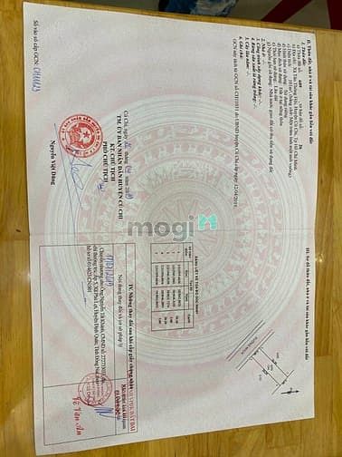 Hình ảnh bán 101m2 đất Tân Thông Hội-Củ Chi 1tỷ1
