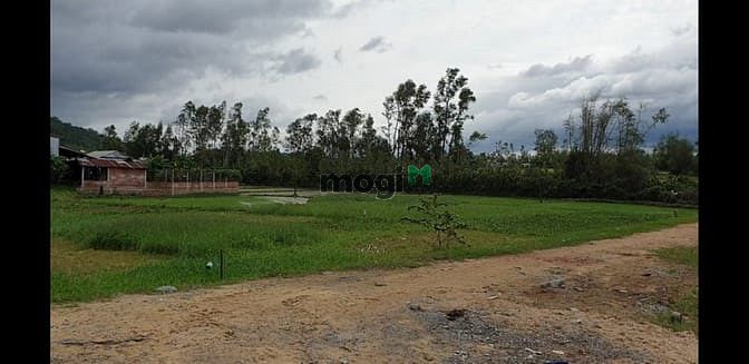 Hình ảnh Chính chủ cần ra 350m2 cát lâm, phù cát