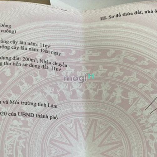 Hình ảnh Đất nền biệt thự view nghỉ dưỡng giá từ 5 triệu / m2