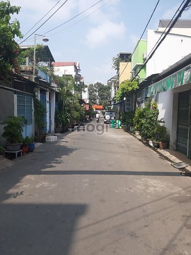 Hình ảnh Đất ngay quảng trường tỉnh, khu A42, phường trung dũng 7m2 x 20m