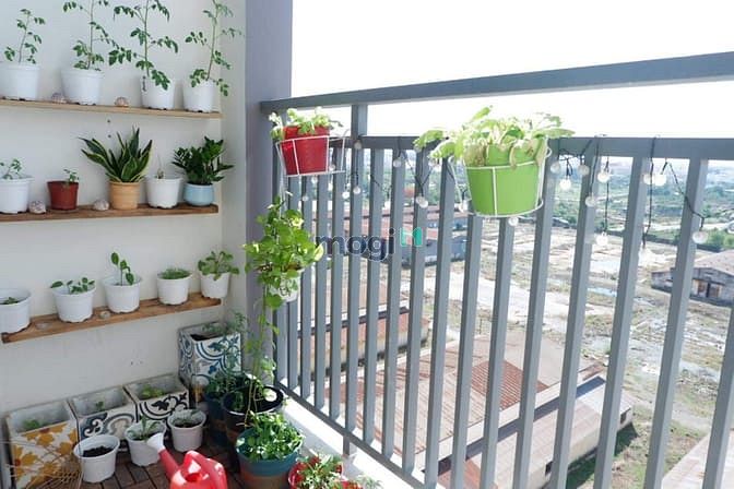Hình ảnh Cập nhật giỏ hàng cho thuê Him Lam Phú An tháng 5/2021