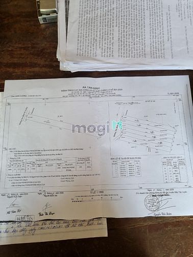 Hình ảnh Đất tân bình 04 cách đường ĐT 741 100m, Dt 2000m2 giá chỉ 2Triệu/m2