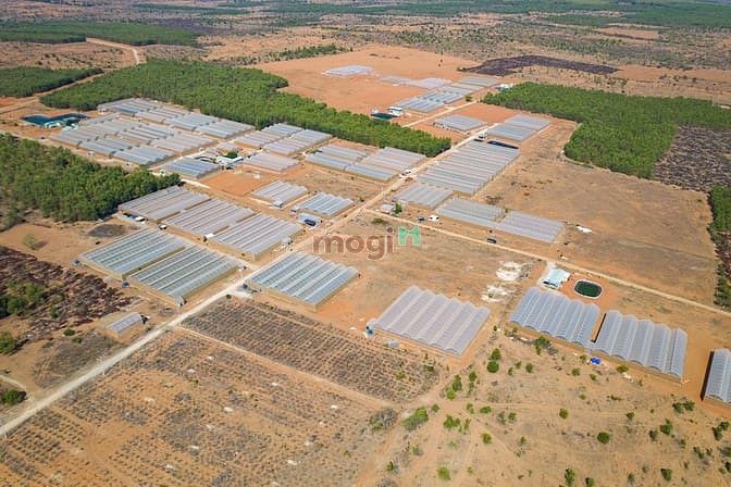 Hình ảnh Sở hữu miếng đất vườn giữa lòng thành phố biển giá chỉ 90k