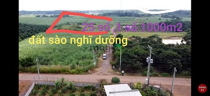 Hình ảnh Bán vườn mít hưng bình hưng thịnh trảng Bom sổ sẵn