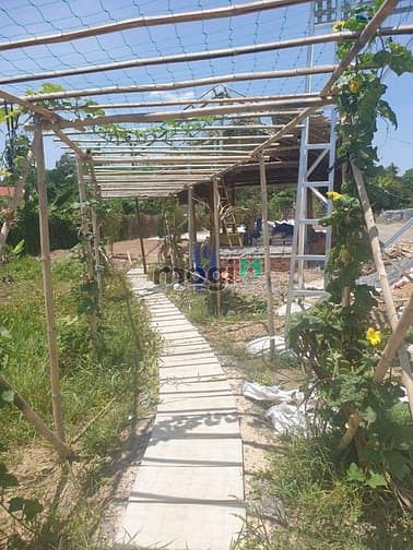 Hình ảnh Đất vườn Củ Chi Papa Farm 2 Riverside