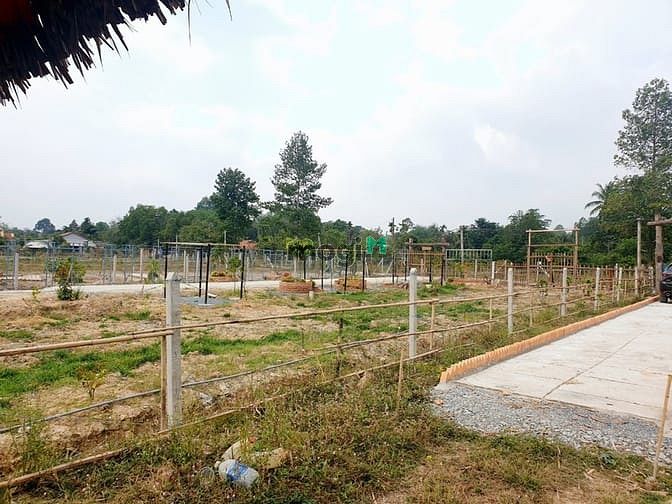 Hình ảnh Đất vườn Củ Chi Papa Farm 2 Riverside