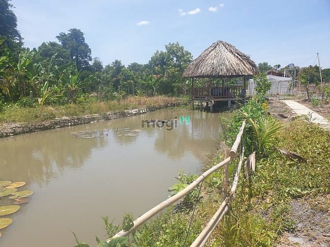 Hình ảnh Đất vườn Củ Chi Papa Farm 2 Riverside