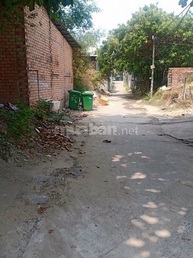 Hình ảnh Bán Lô Đất 116m2 Ngang 5m Đường Hàng Tre Ngay Ngã Ba Mỹ Thành