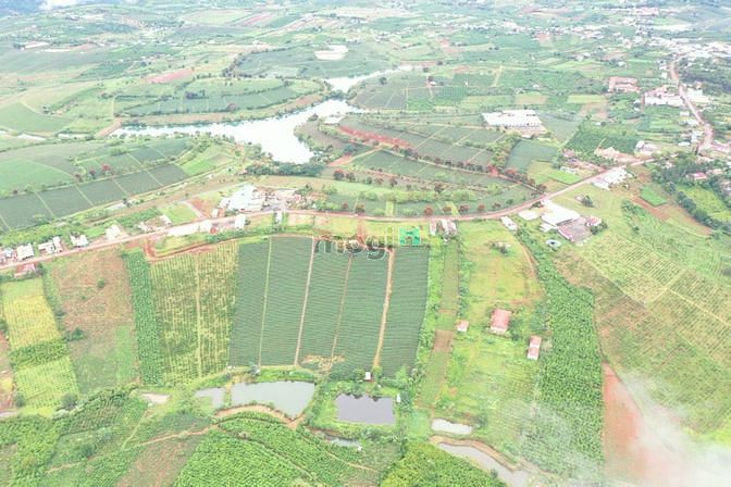 Hình ảnh Đất nền 100m2 thổ cư Sổ Hồng Riêng Tp.Bảo Lộc Đối diện đồi chè Tâm Châ