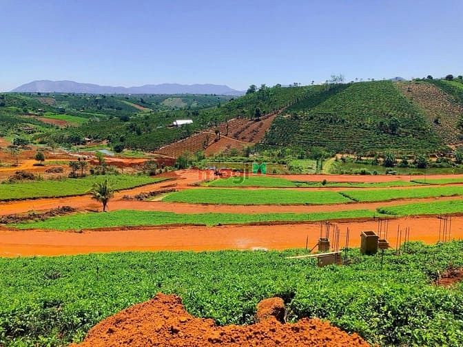 Hình ảnh Đất nền 100m2 thổ cư Sổ Hồng Riêng Tp.Bảo Lộc Đối diện đồi chè Tâm Châ