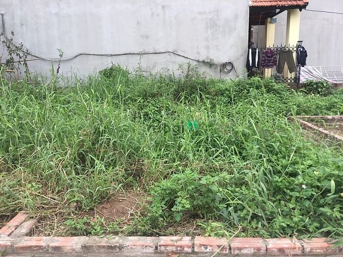 Hình ảnh 60m TĐC Đông Dư thiện chí bán ngay trong tuần giá hấp dẫn