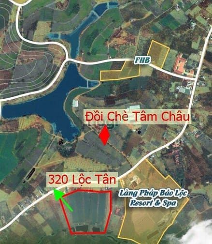 Hình ảnh Đất nền thổ cư Bảo Lâm – Đồi diện đồi chè Tâm Châu xây dựng tư do giá