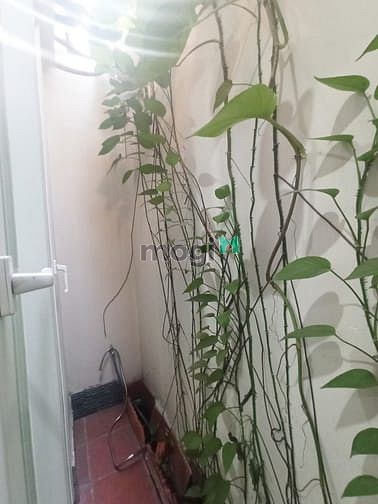 Hình ảnh Mb6623 nạp rút nhanh chóng dịch vụ Quận 3 Trần Quốc Thảo