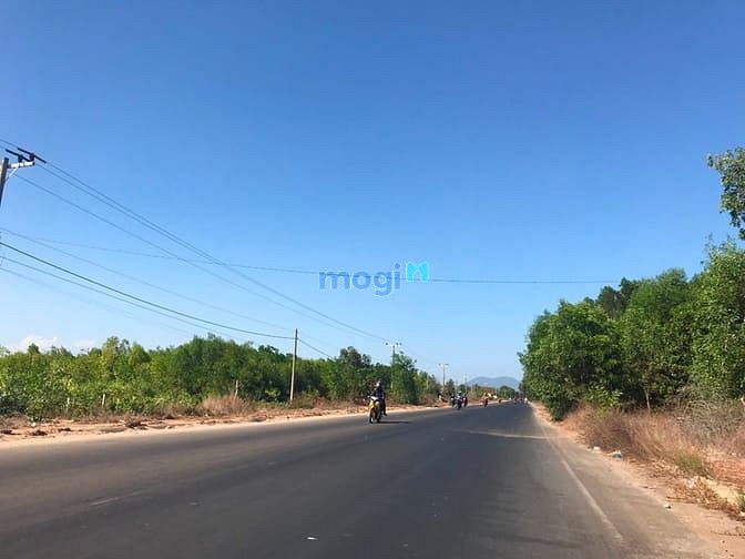 Hình ảnh Bán đất đường Hùng Vương, Tân Bình, thị xã LaGi rẻ nhất 1.9tr/m2