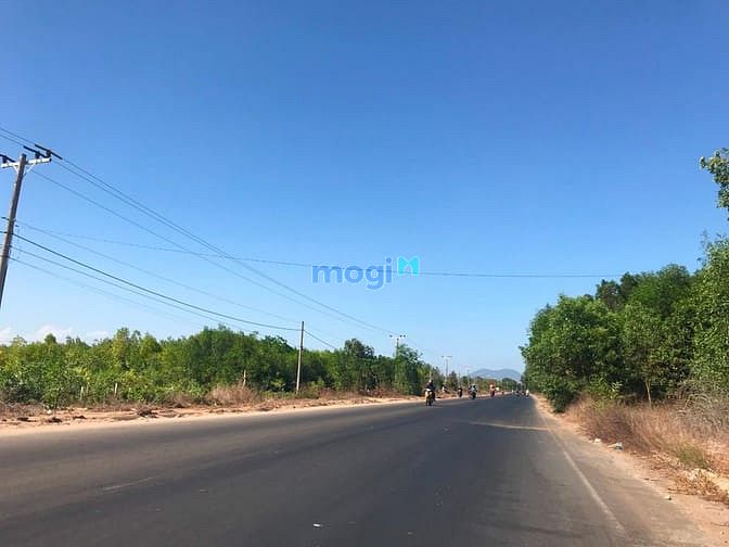Hình ảnh Bán đất đường Hùng Vương, Tân Bình, thị xã LaGi rẻ nhất 1.9tr/m2