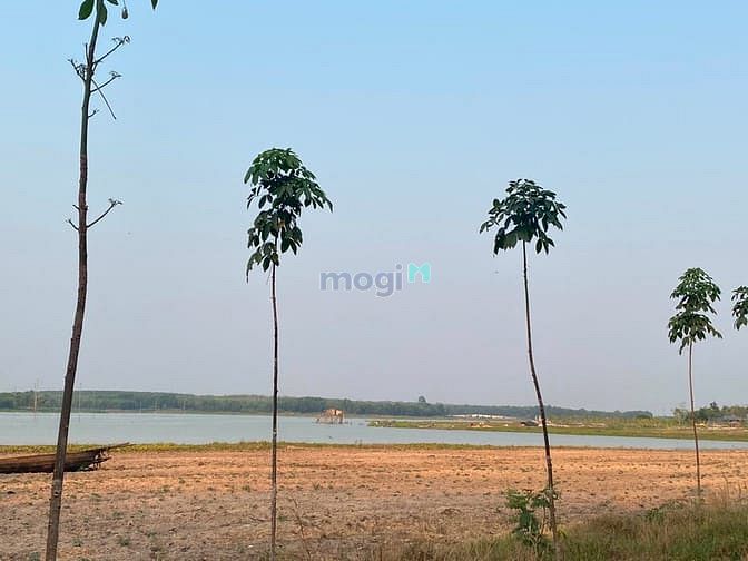 Hình ảnh Bán Gấp Hơn 1000m2 Giáp Hồ Bình Dương giá 540tr