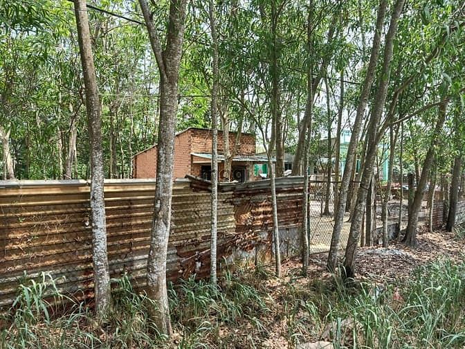 Hình ảnh Bán đất đường 791 - 720m2 - 12x53 nở hậu 15 - xã an phú - củ chi