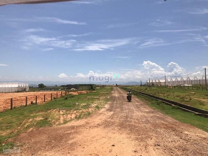 Hình ảnh Lý do gì mà đất nền Bình Thuận đang cực kì THU HÚT các nhà Trang MB66.COM Chính Thức - MB 66 Uy Tín lớn
