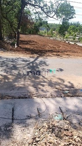 Hình ảnh Gia Đình Bán Đất Vườn T.Xã Phú Mỹ - Bà Rịa Vũng Tàu