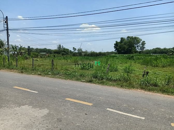 Hình ảnh Bán đất đường an nhơn tây - 3198m2 - 25x112 nở hậu 31 - 3048m2 thổ cư