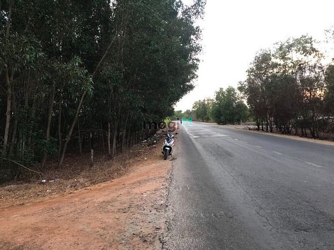 Hình ảnh Đất Mặt Tiền quốc lộ 55. Đối diện BECAMEX giá 4 tỷ 600 tr