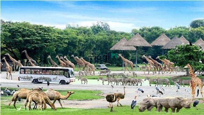 Hình ảnh Cơ hội đổi đời khi Trang MB66.COM Chính Thức - MB 66 Uy Tín đất Bình Thuận