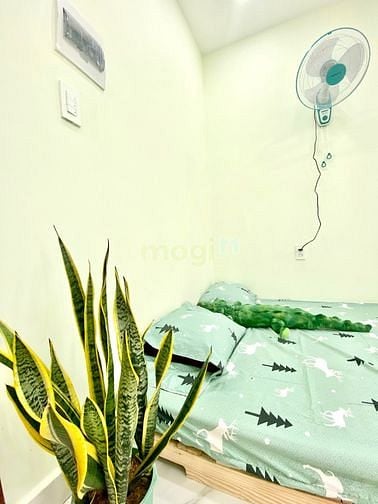 Hình ảnh Phòng trọ mới xây giá cực rẻ chỉ 2tr3 ở liền được