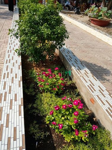 Hình ảnh Bán biệt thự vườn 450m2 An Phú Đông, Q.12