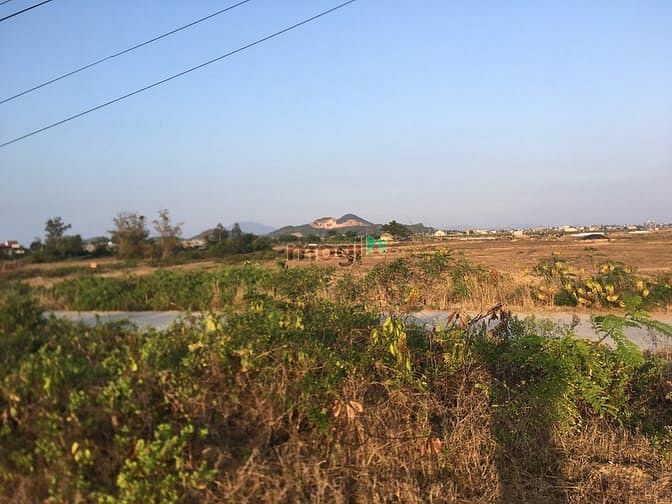 Hình ảnh Đất Ninh Thọ - Ninh Hòa full thổ