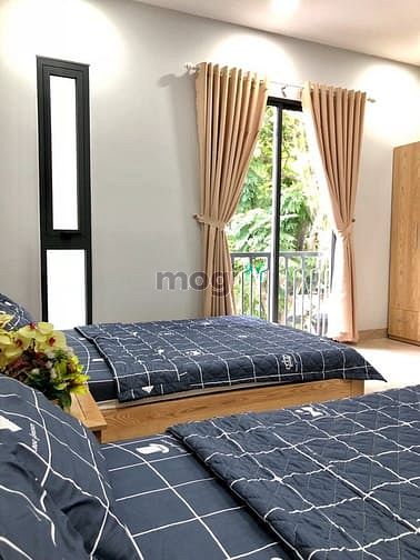 Hình ảnh Mb6623 nạp rút nhanh chóng đẹp 1pn, cầu Rồng - A273