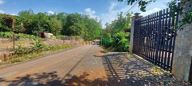 Hình ảnh Bán đất MT nhựa, Long Hưng, Phú Riềng, DT2100m2,TC300m2, SHR, 1,8 tỷ