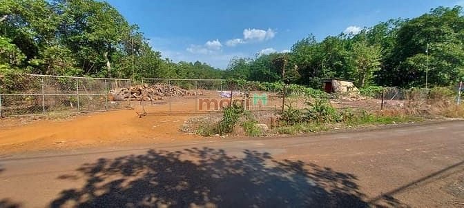 Hình ảnh Bán đất MT nhựa, Long Hưng, Phú Riềng, DT2100m2,TC300m2, SHR, 1,8 tỷ