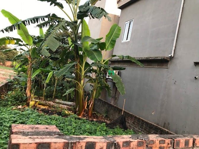 Hình ảnh Làm du lịch phá sản bán 48,5m đất giá 73tr/m2 (3,54 tỷ) đường 4m ô tô