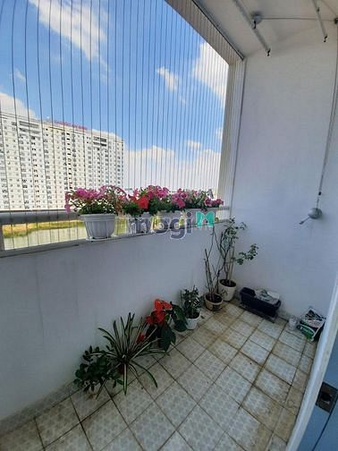 Hình ảnh Cho thuê Trang Chủ MB66.COM / Đăng Ký Tặng 66K chung cư Sacomreal 584 84m2 2PN 12 triệu/tháng