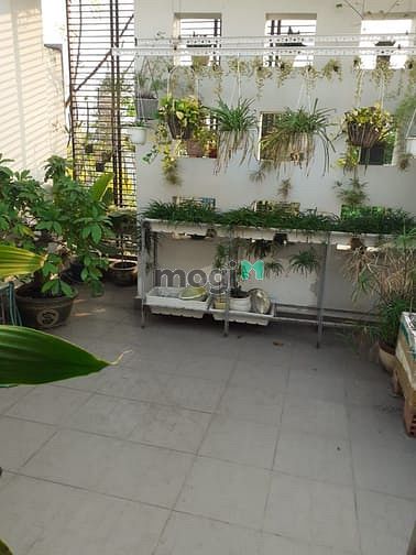 Hình ảnh Mặt tiền 100m2 4 tầng chỉ 16 tỷ