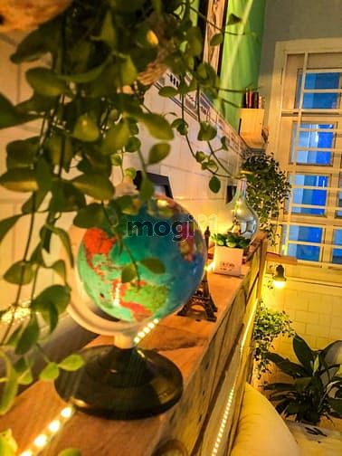 Hình ảnh Cho thuê nhà trọ Gò Vấp/ Trang Chủ MB66.COM / Đăng Ký Tặng 66K mini bình thạnh
