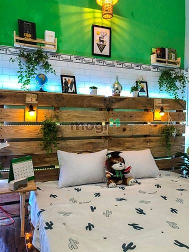 Hình ảnh Cho thuê nhà trọ Gò Vấp/ Trang Chủ MB66.COM / Đăng Ký Tặng 66K mini bình thạnh