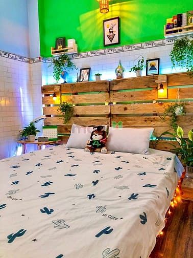 Hình ảnh Cho thuê nhà trọ Gò Vấp/ Trang Chủ MB66.COM / Đăng Ký Tặng 66K mini bình thạnh