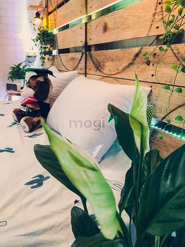 Hình ảnh Cho thuê nhà trọ Gò Vấp/ Trang Chủ MB66.COM / Đăng Ký Tặng 66K mini bình thạnh