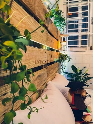 Hình ảnh Cho thuê nhà trọ Gò Vấp/ Trang Chủ MB66.COM / Đăng Ký Tặng 66K mini bình thạnh