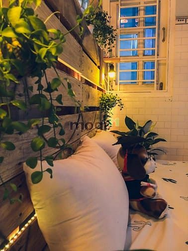 Hình ảnh Cho thuê nhà trọ Gò Vấp/ Trang Chủ MB66.COM / Đăng Ký Tặng 66K mini bình thạnh