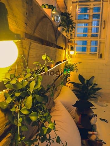 Hình ảnh Cho thuê nhà trọ Gò Vấp/ Trang Chủ MB66.COM / Đăng Ký Tặng 66K mini bình thạnh